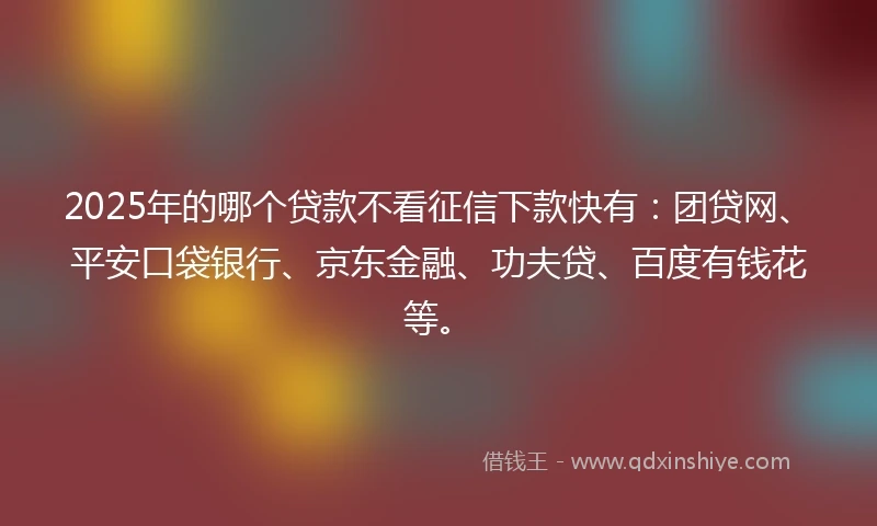 2025年的哪个贷款不看征信下款快有：团贷网、平安口袋银行、京东金融、功夫贷、百度有钱花等。