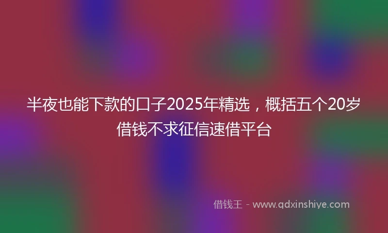半夜也能下款的口子2025年精选，概括五个20岁借钱不求征信速借平台
