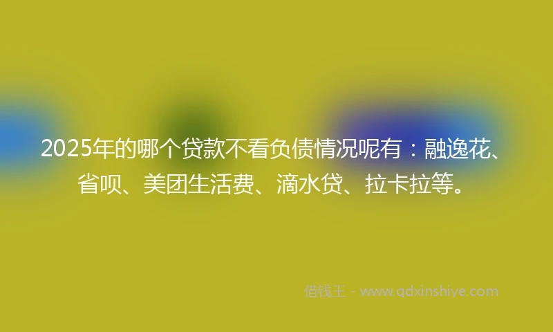 2025年的哪个贷款不看负债情况呢有：融逸花、省呗、美团生活费、滴水贷、拉卡拉等。