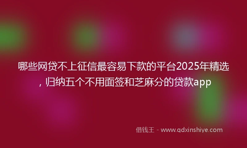 哪些网贷不上征信最容易下款的平台2025年精选，归纳五个不用面签和芝麻分的贷款app