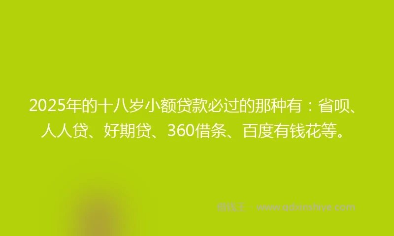 2025年的十八岁小额贷款必过的那种有：省呗、人人贷、好期贷、360借条、百度有钱花等。