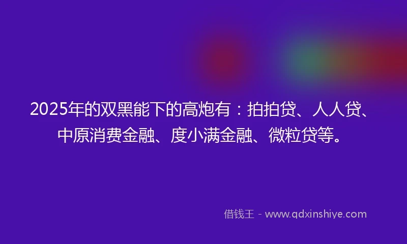 2025年的双黑能下的高炮有：拍拍贷、人人贷、中原消费金融、度小满金融、微粒贷等。