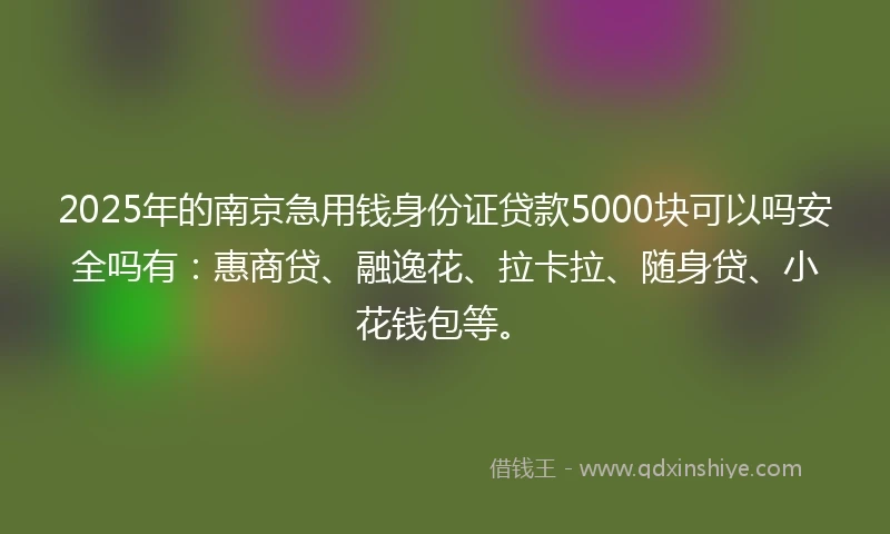 2025年的南京急用钱身份证贷款5000块可以吗安全吗有：惠商贷、融逸花、拉卡拉、随身贷、小花钱包等。
