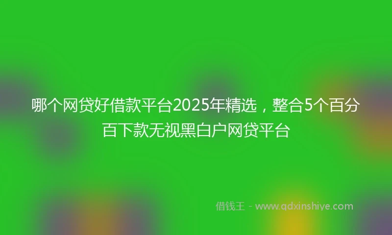 哪个网贷好借款平台2025年精选，整合5个百分百下款无视黑白户网贷平台