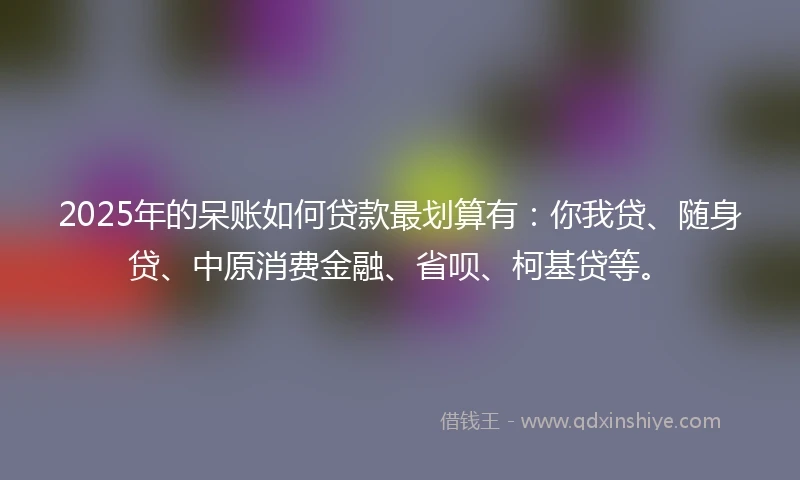 2025年的呆账如何贷款最划算有：你我贷、随身贷、中原消费金融、省呗、柯基贷等。