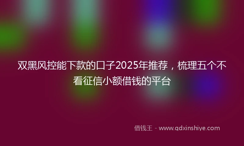 双黑风控能下款的口子2025年推荐,梳理五个不看征信小额借钱的平台