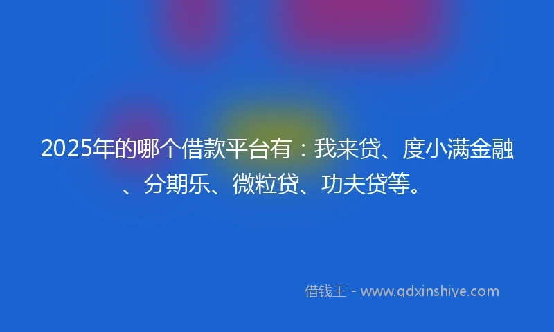 2025年的哪个借款平台有：我来贷、度小满金融、分期乐、微粒贷、功夫贷等。