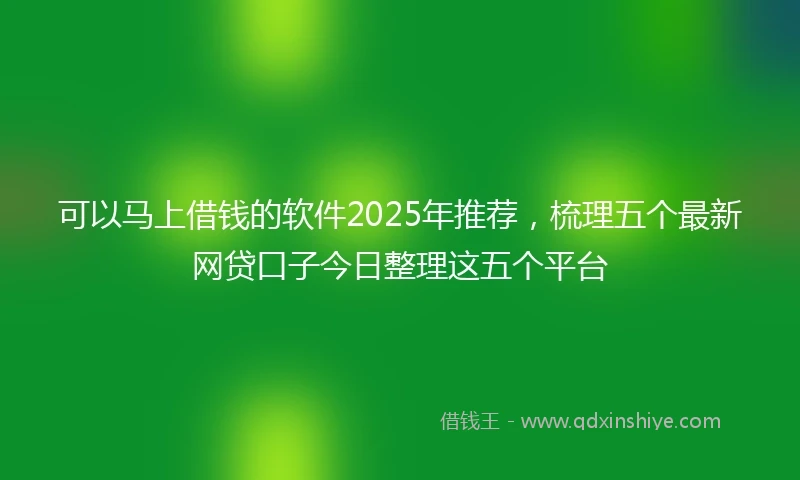 可以马上借钱的软件2025年推荐，梳理五个最新网贷口子今日整理这五个平台
