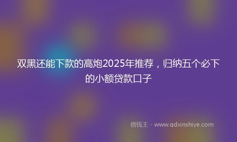 双黑还能下款的高炮2025年推荐，归纳五个必下的小额贷款口子