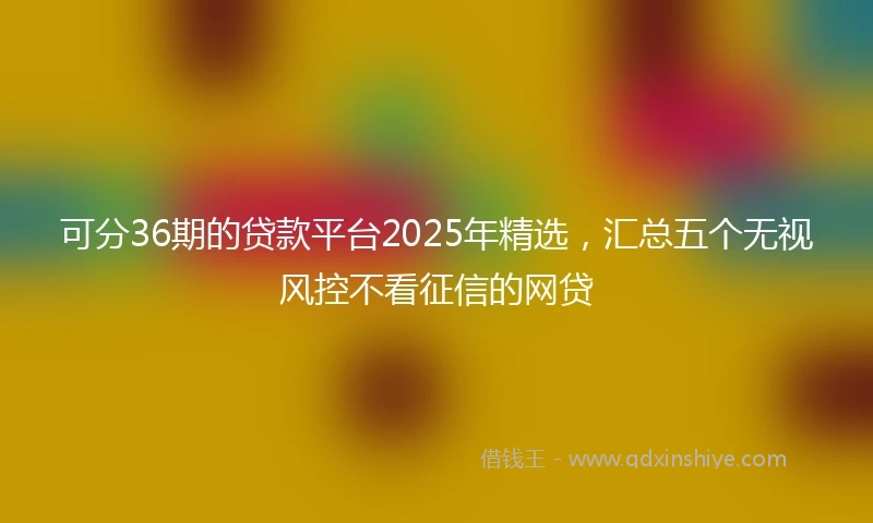 可分36期的贷款平台2025年精选，汇总五个无视风控不看征信的网贷