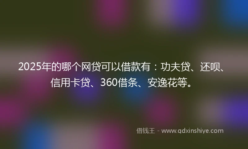 2025年的哪个网贷可以借款有：功夫贷、还呗、信用卡贷、360借条、安逸花等。