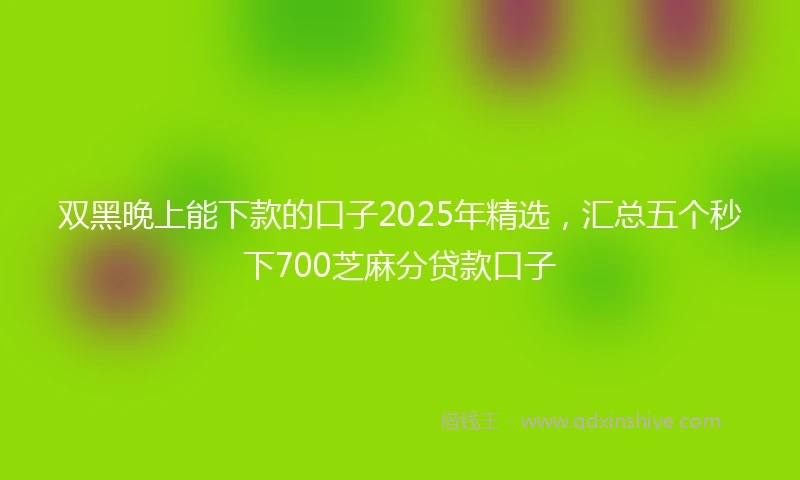 双黑晚上能下款的口子2025年精选，汇总五个秒下700芝麻分贷款口子