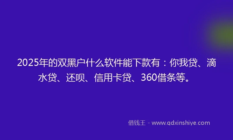 2025年的双黑户什么软件能下款有：你我贷、滴水贷、还呗、信用卡贷、360借条等。