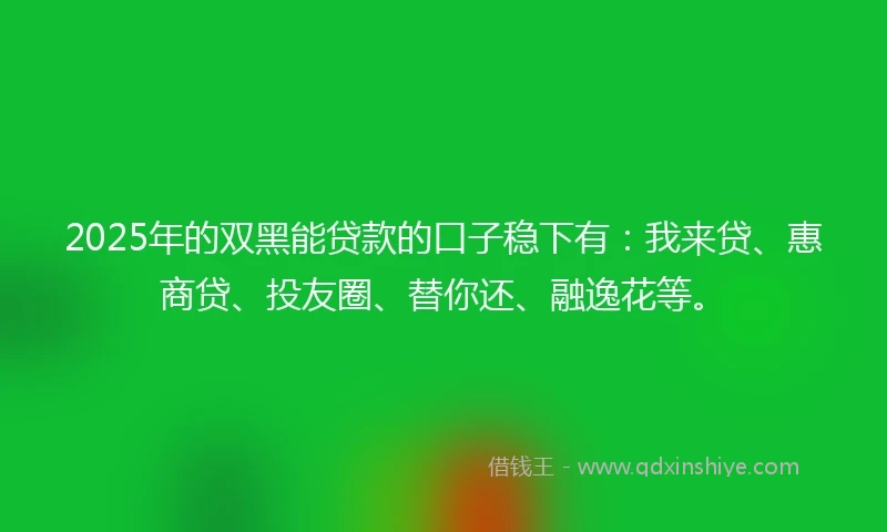 2025年的双黑能贷款的口子稳下有：我来贷、惠商贷、投友圈、替你还、融逸花等。