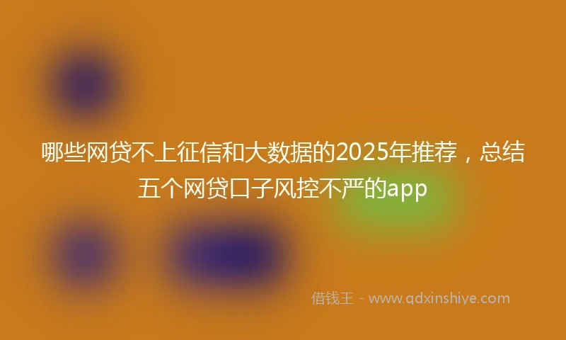 哪些网贷不上征信和大数据的2025年推荐，总结五个网贷口子风控不严的app