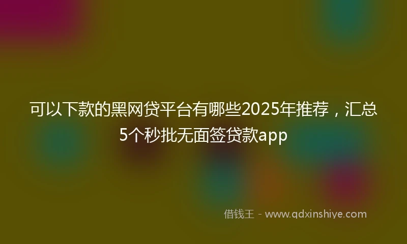 可以下款的黑网贷平台有哪些2025年推荐，汇总5个秒批无面签贷款app