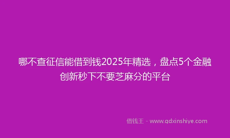 哪不查征信能借到钱2025年精选，盘点5个金融创新秒下不要芝麻分的平台