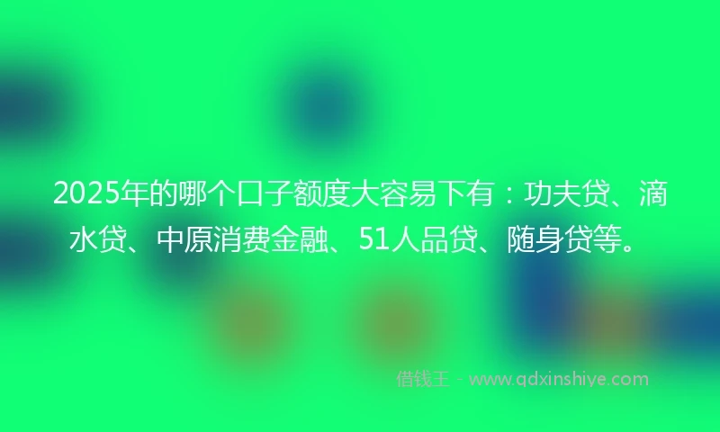 2025年的哪个口子额度大容易下有：功夫贷、滴水贷、中原消费金融、51人品贷、随身贷等。