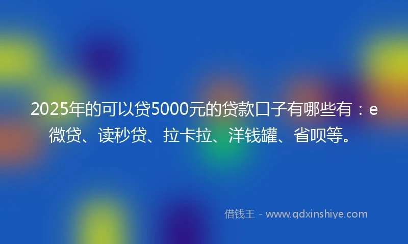 2025年的可以贷5000元的贷款口子有哪些有：e微贷、读秒贷、拉卡拉、洋钱罐、省呗等。