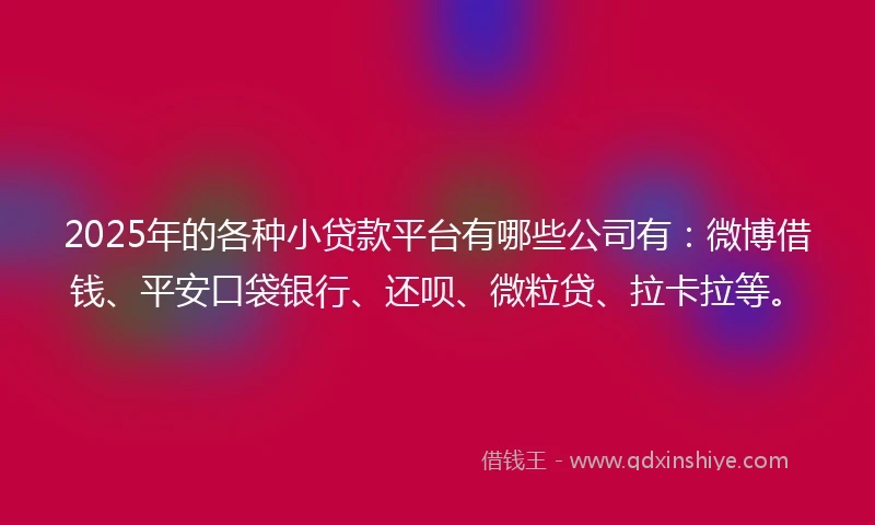 2025年的各种小贷款平台有哪些公司有：微博借钱、平安口袋银行、还呗、微粒贷、拉卡拉等。