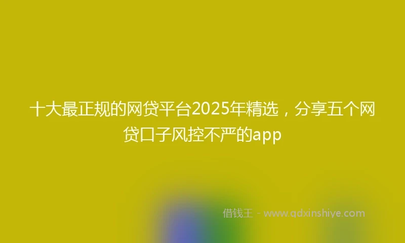 十大最正规的网贷平台2025年精选，分享五个网贷口子风控不严的app