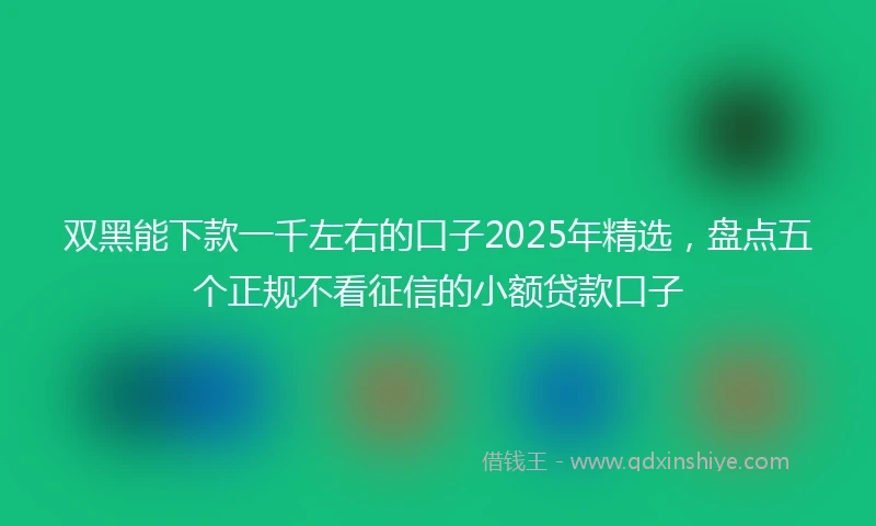 双黑能下款一千左右的口子2025年精选，盘点五个正规不看征信的小额贷款口子