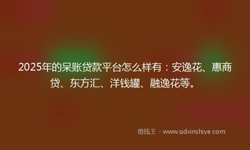 2025年的呆账贷款平台怎么样有：安逸花、惠商贷、东方汇、洋钱罐、融逸花等。