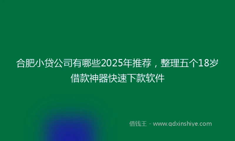 合肥小贷公司有哪些2025年推荐，整理五个18岁借款神器快速下款软件