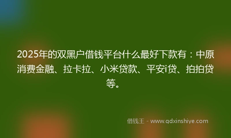 2025年的双黑户借钱平台什么最好下款有：中原消费金融、拉卡拉、小米贷款、平安i贷、拍拍贷等。