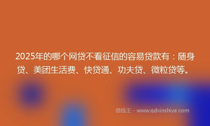 2025年的哪个网贷不看征信的容易贷款有：随身贷、美团生活费、快贷通、功夫贷、微粒贷等。
