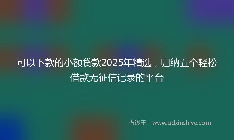 可以下款的小额贷款2025年精选，归纳五个轻松借款无征信记录的平台