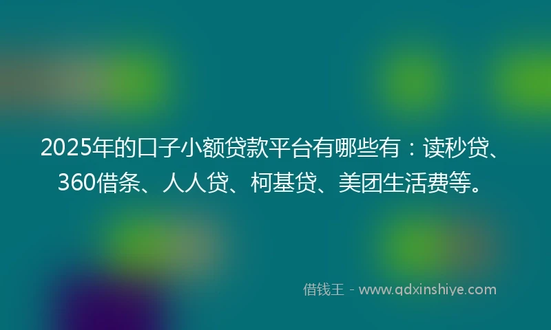 2025年的口子小额贷款平台有哪些有：读秒贷、360借条、人人贷、柯基贷、美团生活费等。