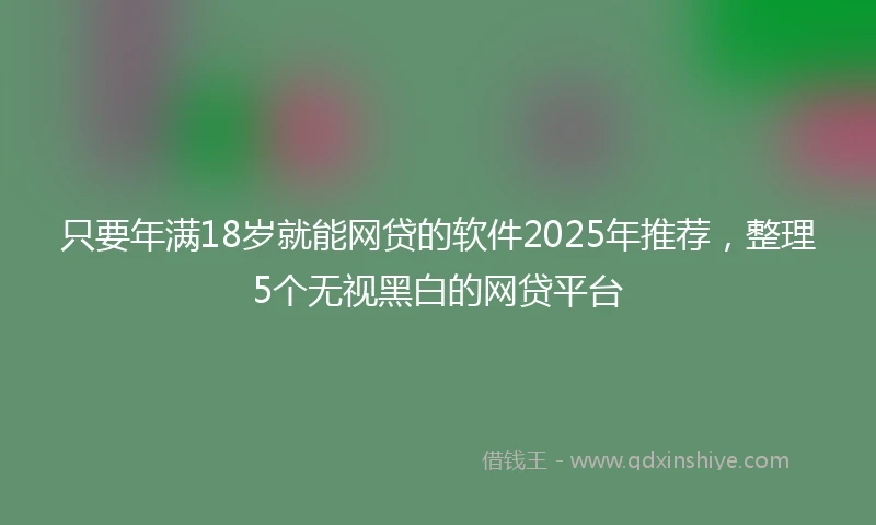 只要年满18岁就能网贷的软件2025年推荐，整理5个无视黑白的网贷平台