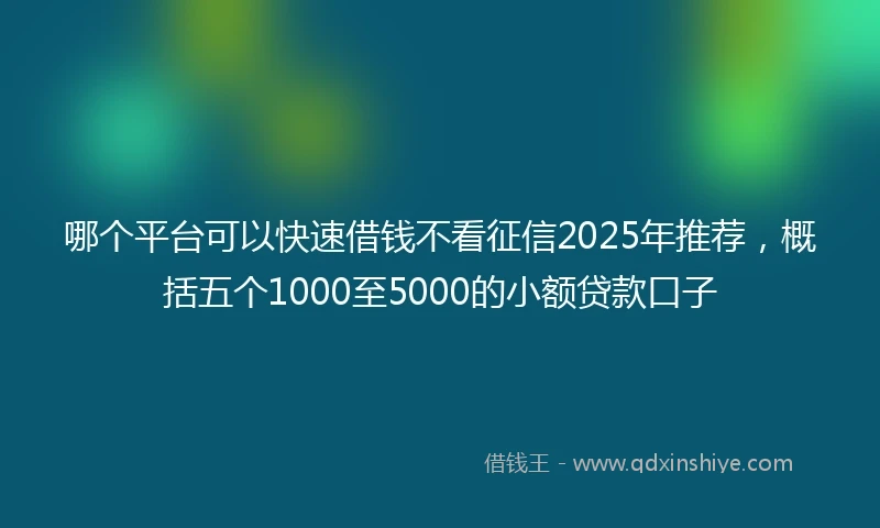哪个平台可以快速借钱不看征信2025年推荐，概括五个1000至5000的小额贷款口子