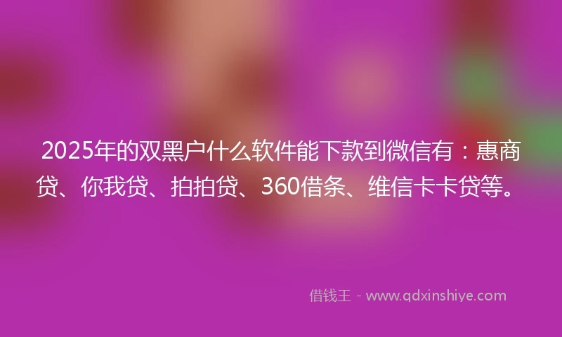 2025年的双黑户什么软件能下款到微信有：惠商贷、你我贷、拍拍贷、360借条、维信卡卡贷等。