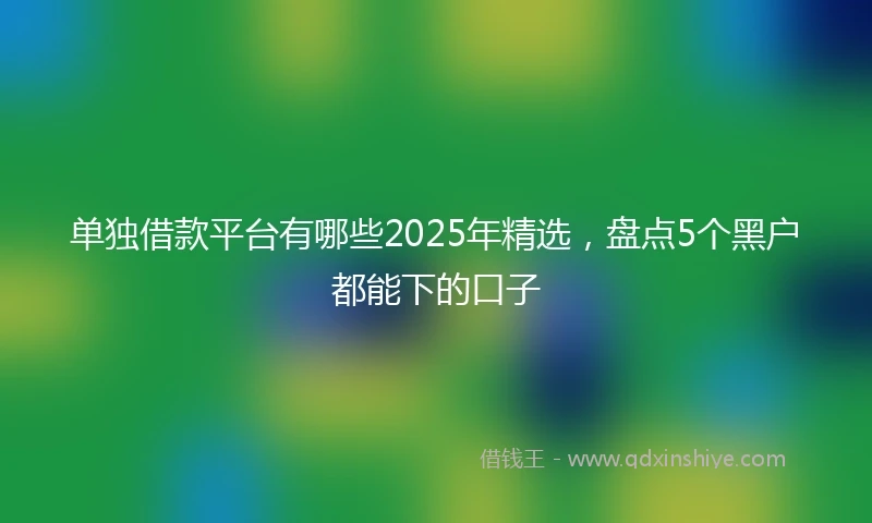 单独借款平台有哪些2025年精选，盘点5个黑户都能下的口子