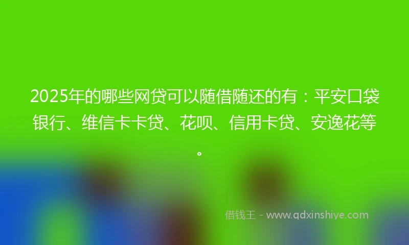 2025年的哪些网贷可以随借随还的有：平安口袋银行、维信卡卡贷、花呗、信用卡贷、安逸花等。