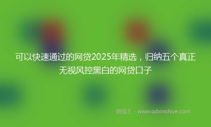 可以快速通过的网贷2025年精选，归纳五个真正无视风控黑白的网贷口子