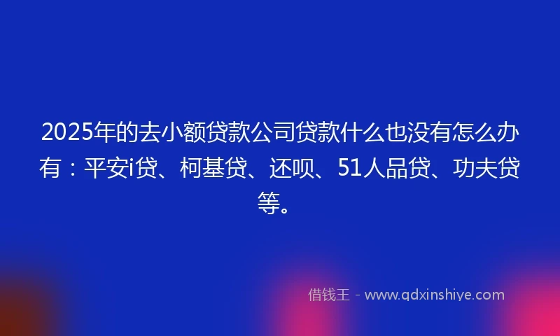 2025年的去小额贷款公司贷款什么也没有怎么办有:平安i贷、柯基贷、还呗、51人品贷、功夫贷等。