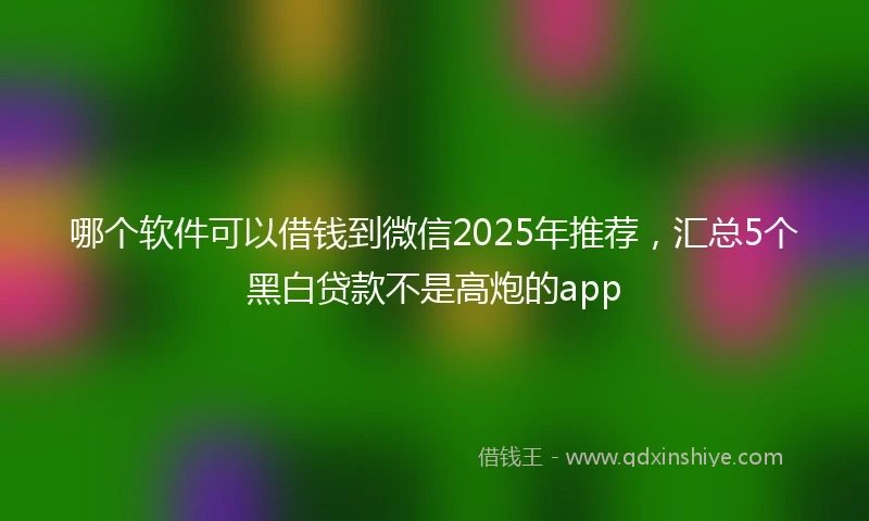 哪个软件可以借钱到微信2025年推荐，汇总5个黑白贷款不是高炮的app