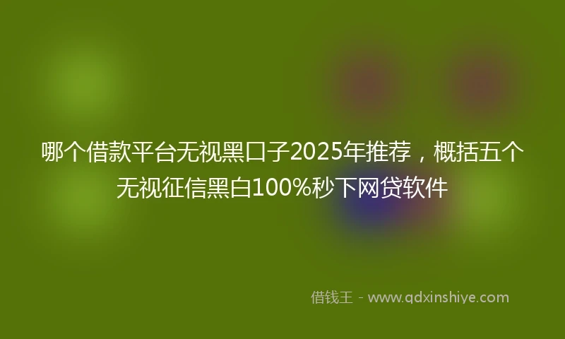 哪个借款平台无视黑口子2025年推荐，概括五个无视征信黑白100%秒下网贷软件
