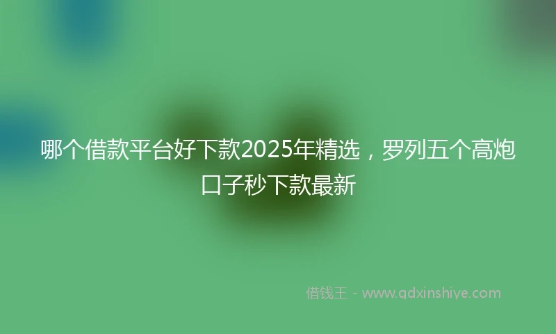 哪个借款平台好下款2025年精选，罗列五个高炮口子秒下款最新