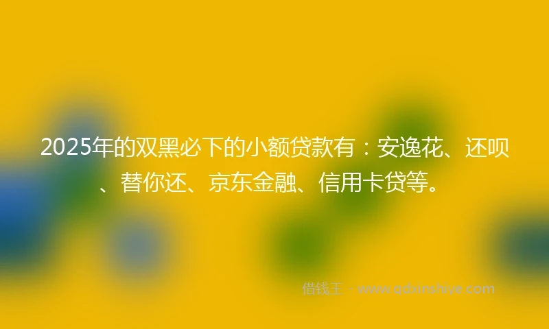 2025年的双黑必下的小额贷款有：安逸花、还呗、替你还、京东金融、信用卡贷等。