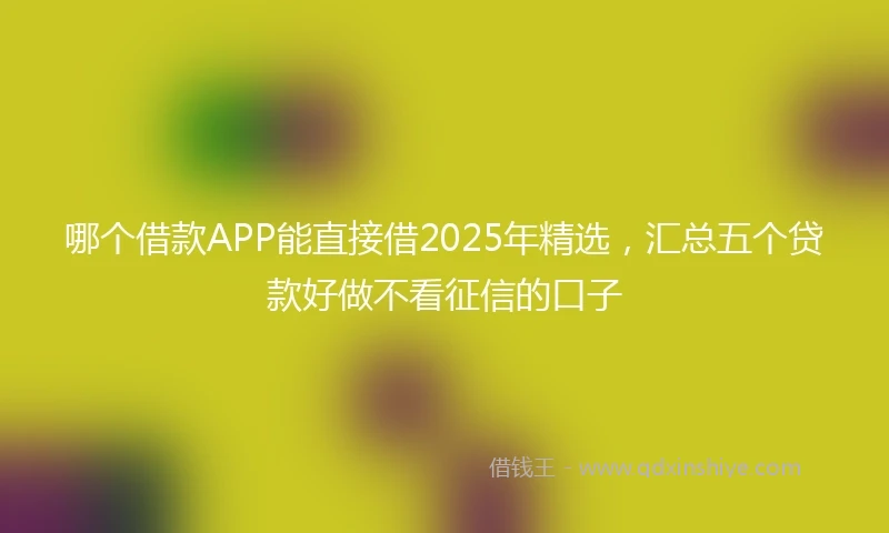 哪个借款APP能直接借2025年精选，汇总五个贷款好做不看征信的口子