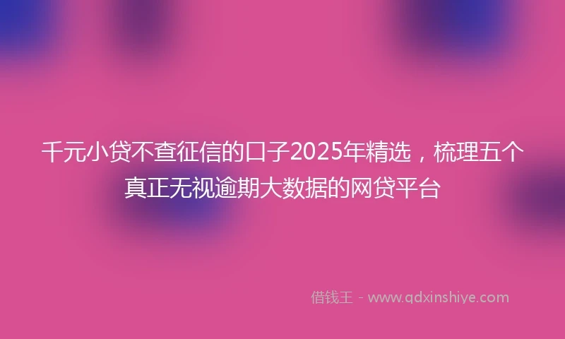 千元小贷不查征信的口子2025年精选，梳理五个真正无视逾期大数据的网贷平台