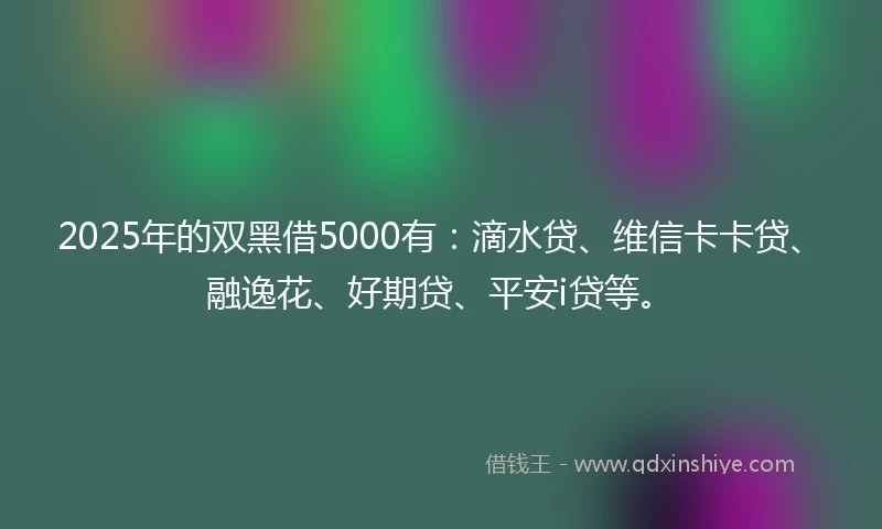 2025年的双黑借5000有：滴水贷、维信卡卡贷、融逸花、好期贷、平安i贷等。