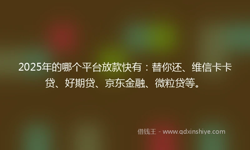 2025年的哪个平台放款快有：替你还、维信卡卡贷、好期贷、京东金融、微粒贷等。