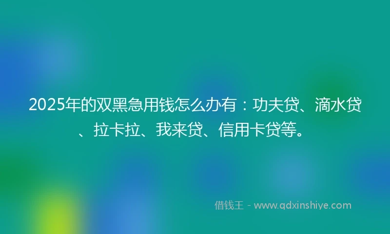 2025年的双黑急用钱怎么办有：功夫贷、滴水贷、拉卡拉、我来贷、信用卡贷等。