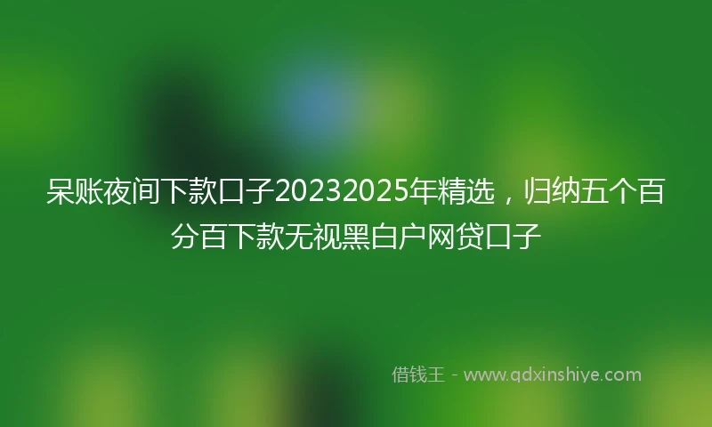 呆账夜间下款口子20232025年精选,归纳五个百分百下款无视黑白户网贷口子