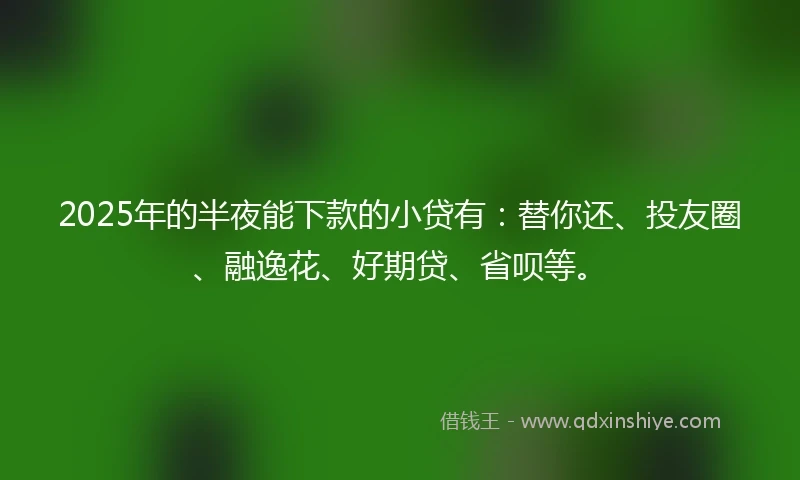 2025年的半夜能下款的小贷有：替你还、投友圈、融逸花、好期贷、省呗等。